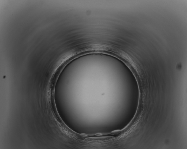 X0000097970827200804011718