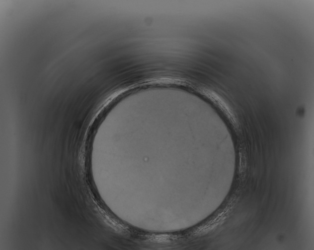 X0000097970828200804011718