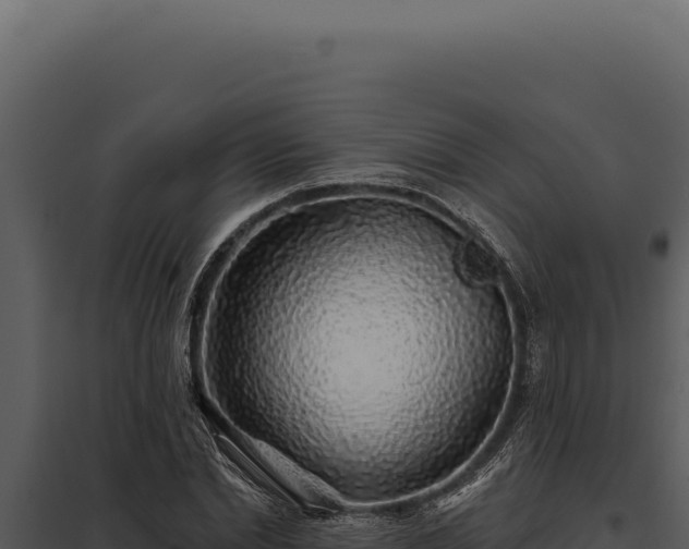 X0000097970830200804011718