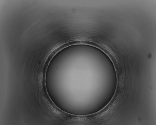 X0000097970831200804011718