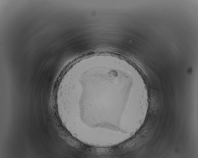 X0000097970832200804011718