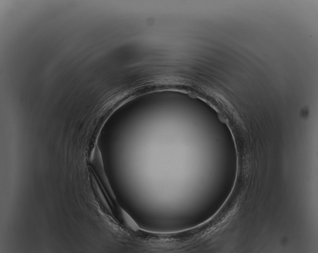 X0000097970833200804011718