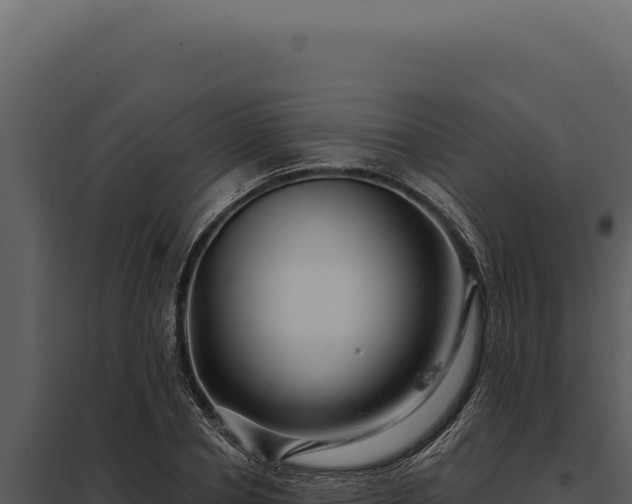 X0000097970834200804011718