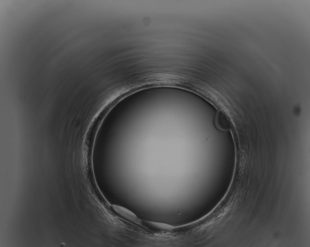 X0000097970835200804011718