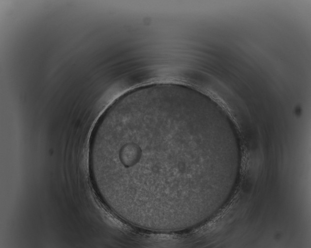 X0000097970836200804011718