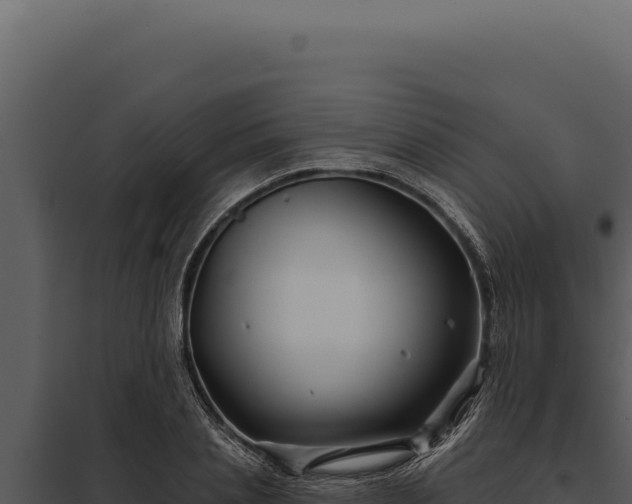 X0000097970837200804011718