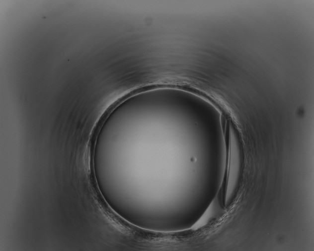 X0000097970838200804011718