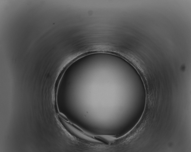 X0000097970839200804011718