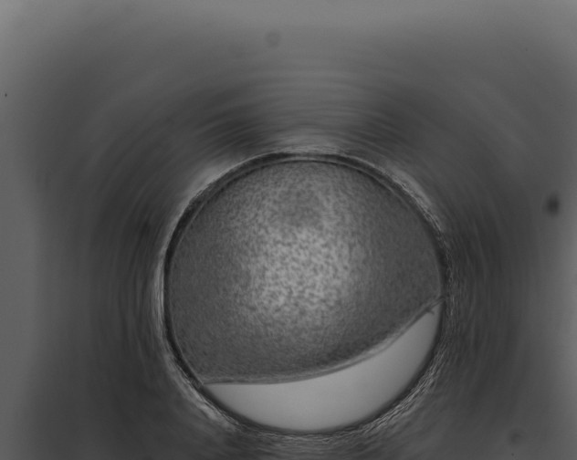 X0000097970840200804011718