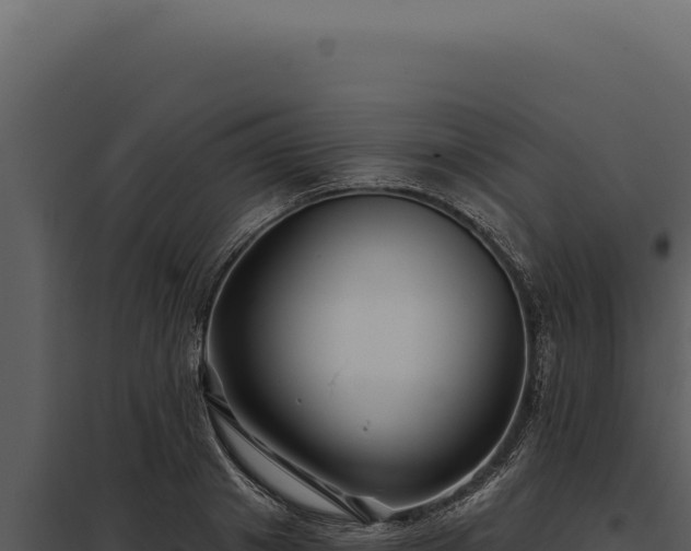 X0000097970841200804011718