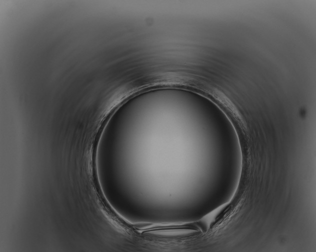 X0000097970842200804011718