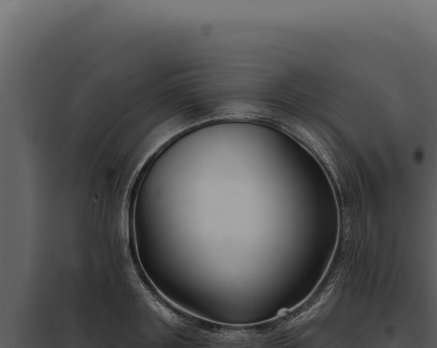 X0000097970843200804011718