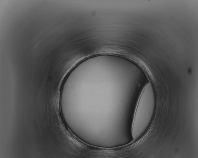 X0000097970844200804011718