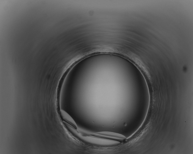 X0000097970845200804011718