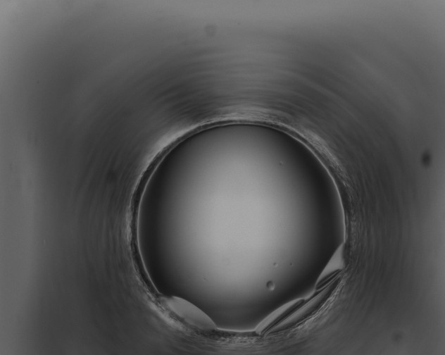 X0000097970846200804011718