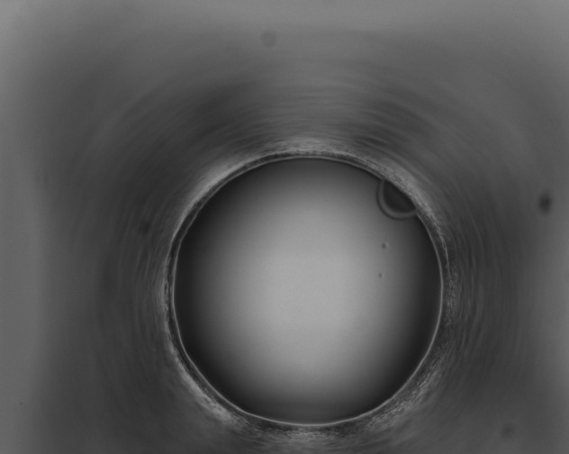 X0000097970847200804011718