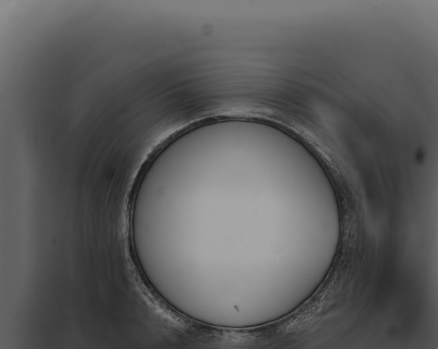 X0000097970848200804011718