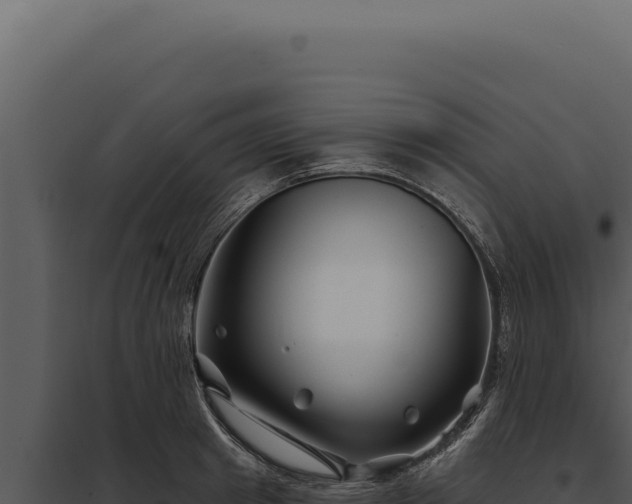 X0000097970849200804011718