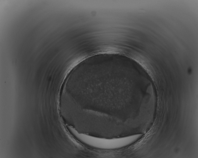 X0000097970850200804011719