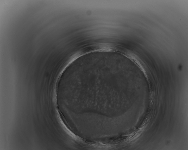 X0000097970851200804011719