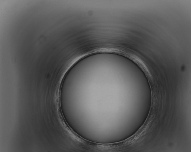 X0000097970852200804011719