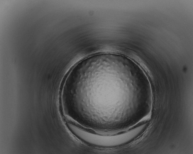 X0000097970853200804011719