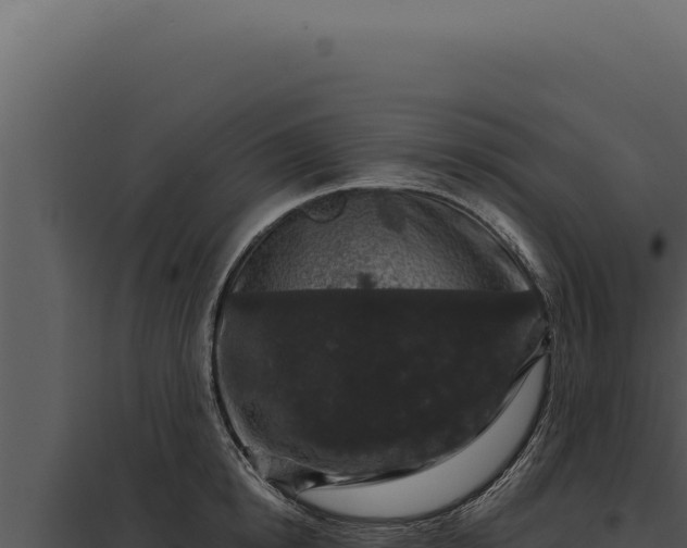 X0000097970854200804011719