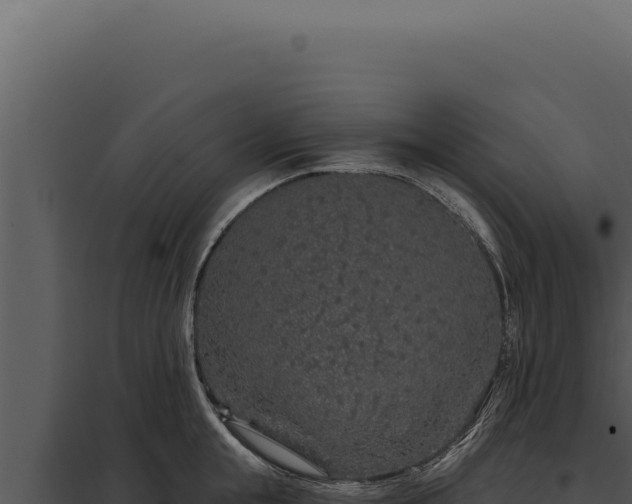 X0000097970855200804011719