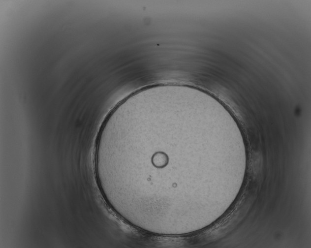 X0000097970856200804011719