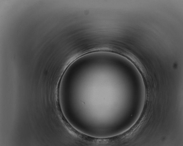 X0000097970858200804011719