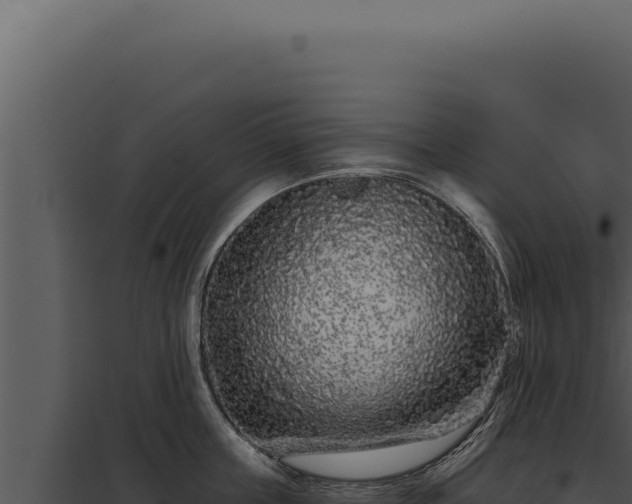 X0000097970859200804011719