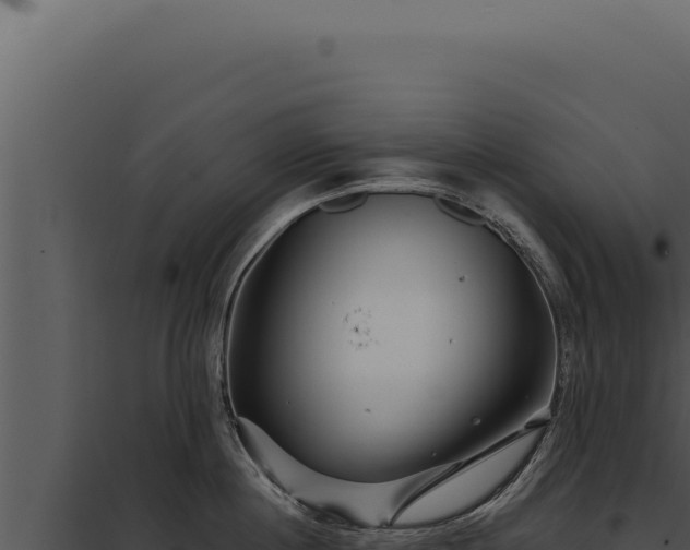 X0000097970860200804011719