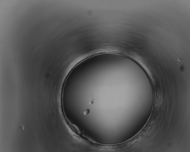 X0000097970861200804011719