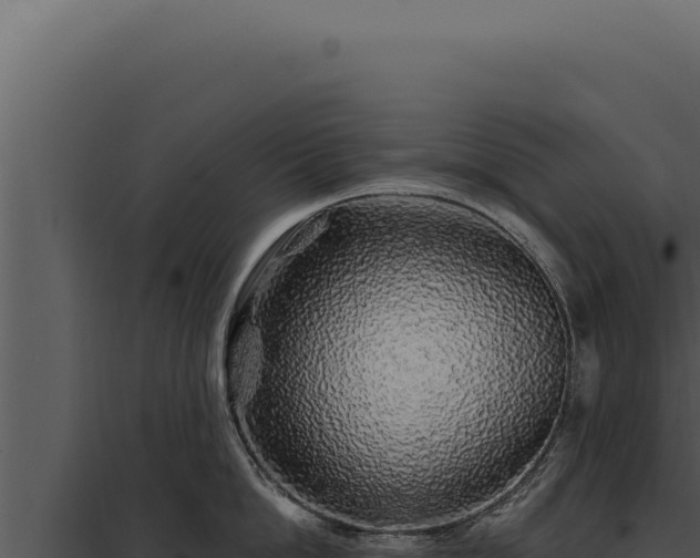 X0000097970862200804011719