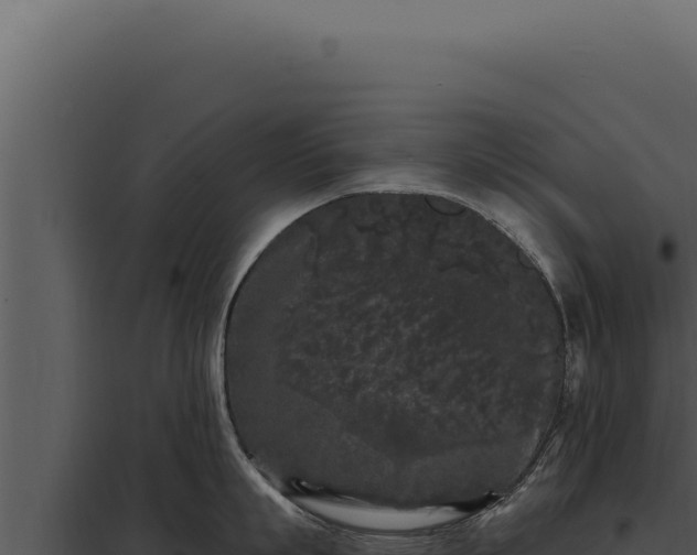 X0000097970863200804011719