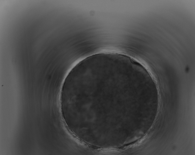 X0000097970864200804011719