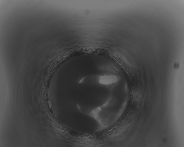 X0000097970865200804011718