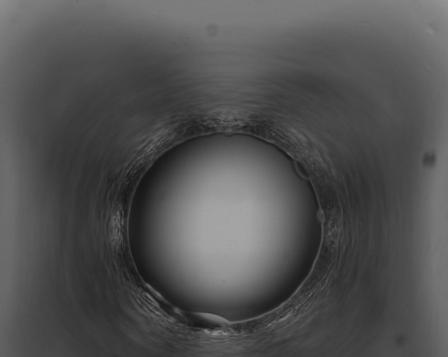 X0000097970866200804011718