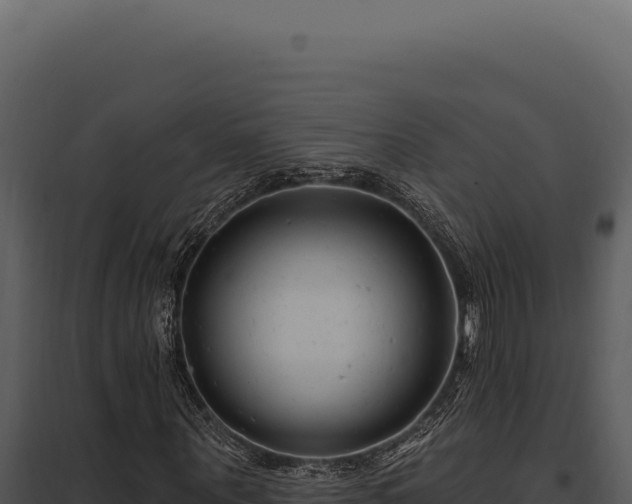 X0000097970867200804011718