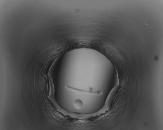 X0000097970868200804011718