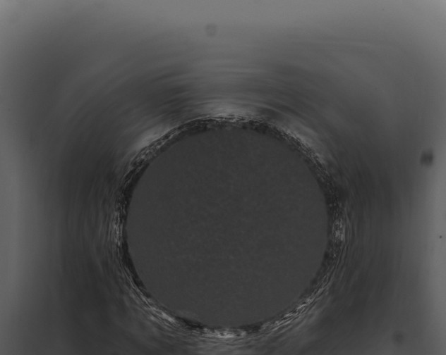 X0000097970869200804011718