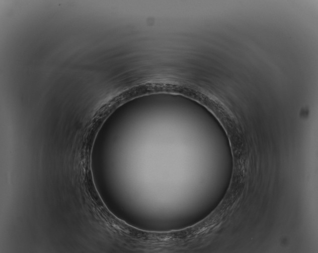 X0000097970870200804011718