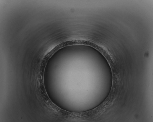 X0000097970871200804011718