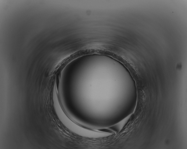 X0000097970872200804011718