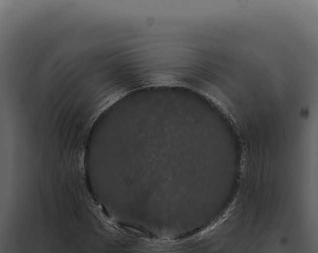 X0000097970873200804011718