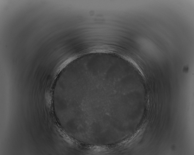 X0000097970874200804011718