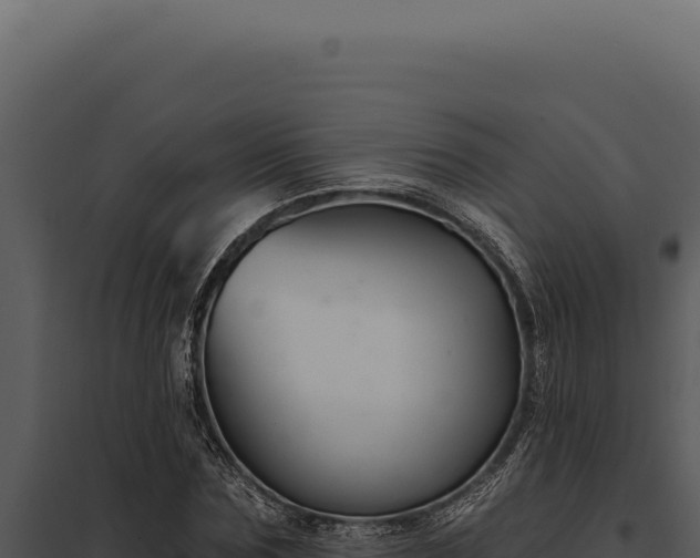 X0000097970875200804011718