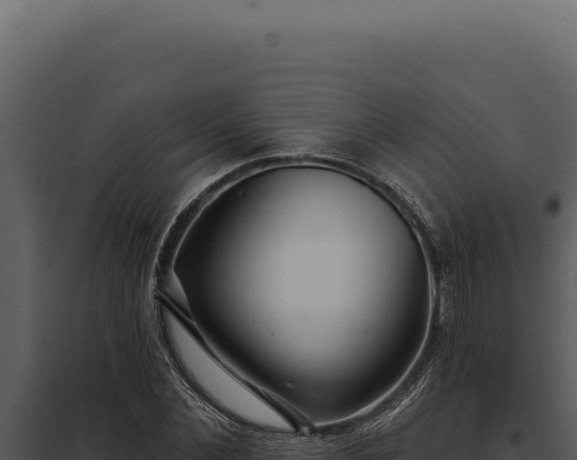 X0000097970876200804011718