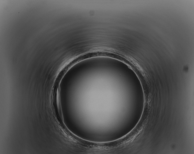 X0000097970877200804011718