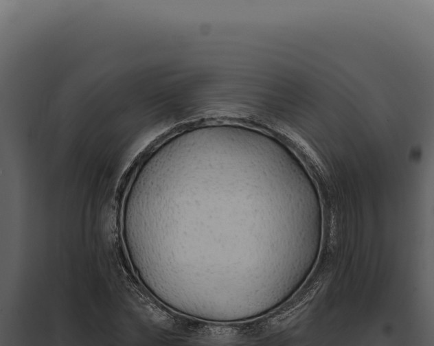 X0000097970878200804011718